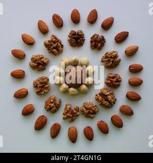 Muster von Mandeln, Haselnüssen, Cashew und Walnüssen in Einer Form von Kreisen von oben Stockfoto