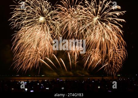 Fröhlicher Moment, in dem Menschen mit Kamera und Smartphone Feuerwerk aufnehmen. Stockfoto