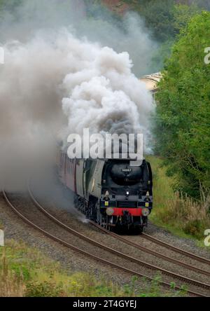 Dampflokomotive „Tangmere“, die den Carlise hinunter fährt, um die Linie an der Armathwaite Corner in Cumbria zu besiedeln. Liverpool nach Carlise Steam Special Stockfoto