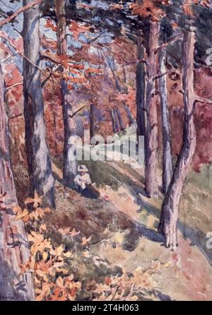 Im Wald von Sauvabelin, oberhalb von Lausanne gemalt von John Hardwicke Lewis, May Hardwicke Lewis, aus dem Buch ' Lausanne ' von Gribble, Francis Henry, veröffentlicht 1909 von A & C Black Lausanne ist die Hauptstadt und größte Stadt des schweizerischen französischsprachigen Kantons Waadt. Es ist eine hügelige Stadt am Ufer des Genfer Sees, etwa auf halbem Weg zwischen dem Jura und den Alpen, mit Blick auf die französische Stadt Evian-les-Bains Stockfoto