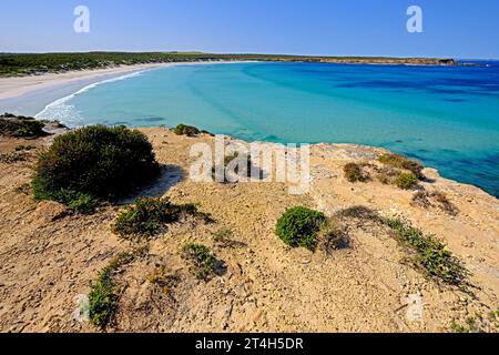 Die zerklüftete Küste rund um den Whaler's Way im Lincoln National Park auf der Eyre Peninsula in Südaustralien Stockfoto