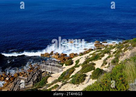 Die zerklüftete Küste rund um den Whaler's Way im Lincoln National Park auf der Eyre Peninsula in Südaustralien Stockfoto