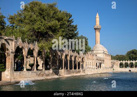 9-08-2023: Balıklıgöl ist eine religiöse Stätte in der Provinz Sanliurfa und wird als heilig angesehen. Es wird angenommen, dass es der Ort ist, an dem Abraham hineingeworfen wurde Stockfoto