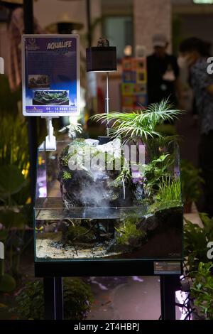 Putrajaya, Malaysia - 10. August 2022 Aquascaped Süßwasseraquarium mit Neonfischen, lebenden Pflanzen, Frodosteinen und Rotmoor-Wurzeln auf der MAHA expo. Stockfoto