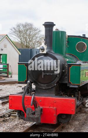 Dampflokomotive „Axe“ am Bahnhof Woody Bay an der Lynton and Barnstaple Railway, Devon, Großbritannien. Axt ist eine Joffre-Klasse, die 1915 in Stoke-on-Trent gebaut wurde Stockfoto