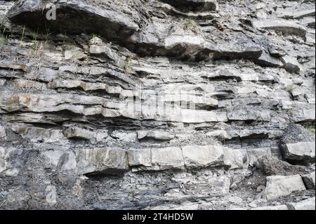 Klippen in East Cliff Beach in Lyme Regis, Dorset, Südwestengland. Nahaufnahme von gestapelt unter Zeitsteinen. Selektiver Fokus Stockfoto