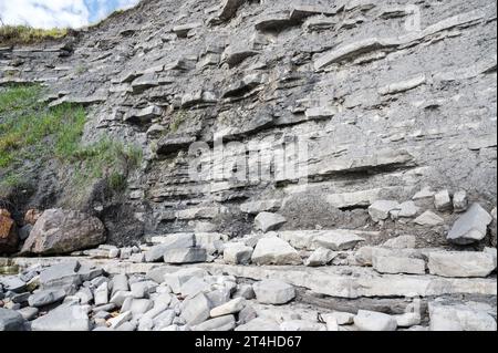 Klippen in East Cliff Beach in Lyme Regis, Dorset, Südwestengland. Nahaufnahme von gestapelt unter Zeitsteinen. Selektiver Fokus Stockfoto