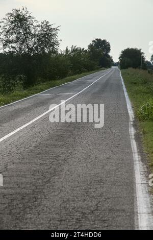 Die Straße ist von Bäumen und Feldern in der italienischen Landschaft umgeben Stockfoto