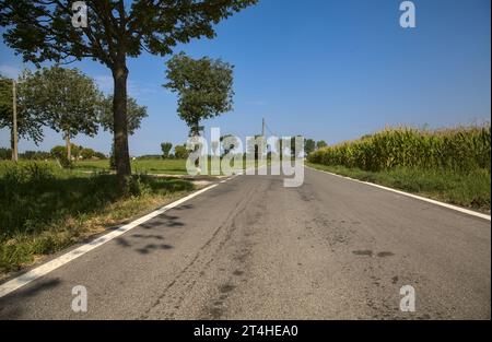 Die Straße ist von Bäumen und Feldern in der italienischen Landschaft umgeben Stockfoto