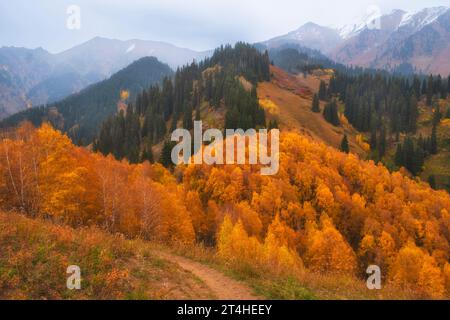 Wunderschöne Berglandschaft an einem Herbsttag, Tien Shan Range in der Nähe der Stadt Almaty in Kasachstan, Kimasar Gorge Stockfoto