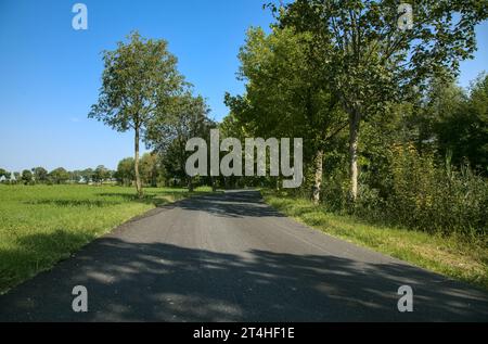 Die Straße ist von Bäumen und Feldern in der italienischen Landschaft umgeben Stockfoto