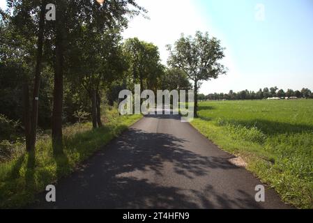 Die Straße ist von Bäumen und Feldern in der italienischen Landschaft umgeben Stockfoto