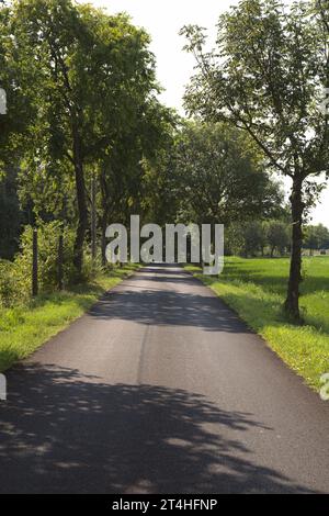 Die Straße ist von Bäumen und Feldern in der italienischen Landschaft umgeben Stockfoto