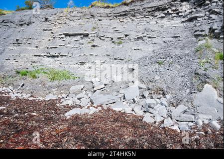 Klippen in East Cliff Beach in Lyme Regis, Dorset, Südwestengland. Nahaufnahme von gestapelt unter Zeitsteinen. Selektiver Fokus Stockfoto