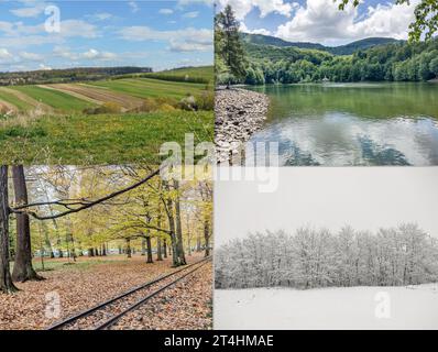 Die vier Jahreszeiten in einem Bild. Collage mit Frühling, Sommer, Herbst, Winter. Tapete mit Frühling, Sommer, Herbst, Winter Stockfoto