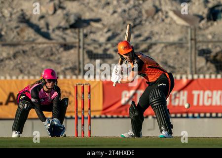 Perth, Australien. 31. Oktober 2023. Perth, Australien, 31. Oktober 2023: Lisa Griffith (14 Perth Scorchers) schlägt beim Spiel der Weber Womens Big Bash League 09 zwischen Perth Scorchers und Sydney Sixers auf dem WACA Ground in Perth, Australien (Noe Llamas/SPP) Credit: SPP Sport Press Photo. /Alamy Live News Stockfoto