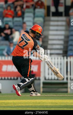 Perth, Australien. 31. Oktober 2023. Perth, Australien, 31. Oktober 2023: Sophie Devine (77 Perth Scorchers) schlägt während des Spiels der Weber Womens Big Bash League 09 zwischen Perth Scorchers und Sydney Sixers auf dem WACA Ground in Perth, Australien (Noe Llamas/SPP) Credit: SPP Sport Press Photo. /Alamy Live News Stockfoto