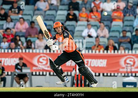 Perth, Australien. 31. Oktober 2023. Perth, Australien, 31. Oktober 2023: Amy Jones (40 Perth Scorchers) schlägt während des Spiels der Weber Womens Big Bash League 09 zwischen Perth Scorchers und Sydney Sixers auf dem WACA Ground in Perth, Australien (Noe Llamas/SPP) Credit: SPP Sport Press Photo. /Alamy Live News Stockfoto