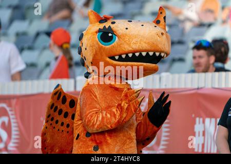 Perth, Australien. 31. Oktober 2023. Perth, Australien, 31. Oktober 2023: Das Perth Scorchers Maskottchen Amber sieht beim Spiel der Weber Womens Big Bash League 09 zwischen Perth Scorchers und Sydney Sixers auf dem WACA Ground in Perth, Australien (Noe Llamas/SPP). /Alamy Live News Stockfoto