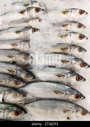 Frischen Fisch in einem Markt Stockfoto
