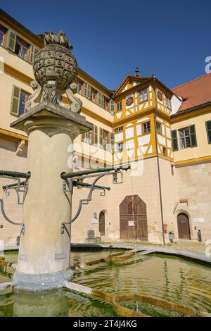 Schlossbrunnen, Schlosshof, Schloß Hohentübingen, Tübingen, Baden-Württemberg, Deutschland *** Burgbrunnen, Schlosshof, Schloss Hohentübingen, Tübingen, Baden Württemberg, Deutschland Stockfoto