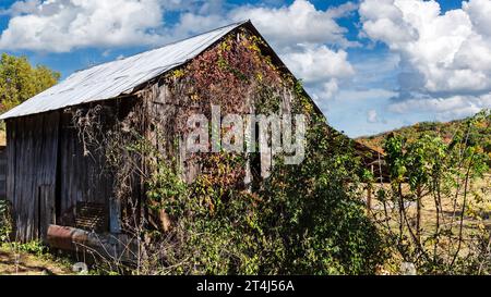 Landlandschaft mit alter verwitterter Scheune Stockfoto