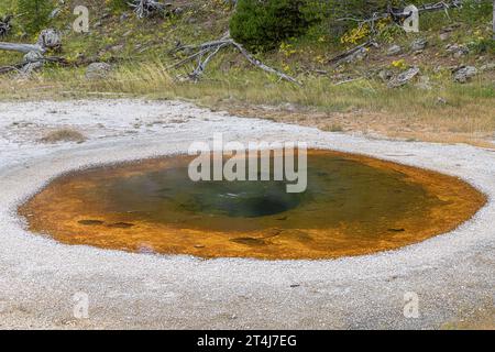 Die Wave Spring mit ihren intensiven braunen Farben im Upper Geyser Basin im Yellowstone National Park Stockfoto