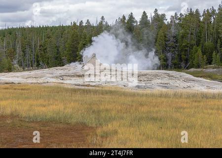 Fernsicht auf den Giant Geysir im Upper Geysir Basin im Yellowstone National Park Stockfoto