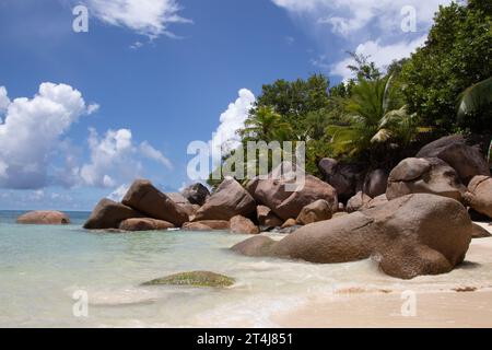 Wunderschöner palmengesäumter Strand, türkisfarbenes Wasser und Granitfelsen im Luxushotel und Resort Constance Lemuria, Praslin, Seychellen, Indischer Ozean Stockfoto