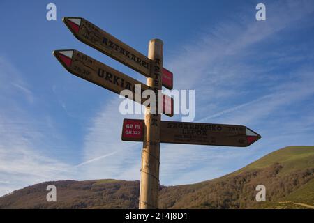 Wegmarkierungen und Wanderpfosten, die die Richtung auf einem Wanderweg anzeigen.Freiraum kopieren. Stockfoto
