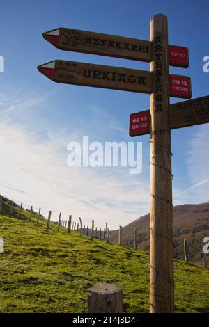 Wegmarkierungen und Wanderpfosten, die die Richtung auf einem Wanderweg anzeigen.Freiraum kopieren. Stockfoto