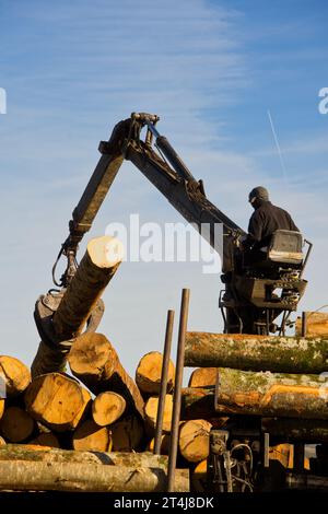 Mann, der im Freien beim Transport von Holzstämmen arbeitet. Stockfoto