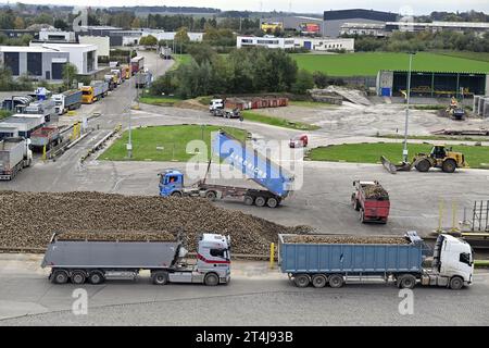 Tienen, Belgien. 31. Oktober 2023. Die Abbildung zeigt die Tiense Suikerraffinaderij - Raffinerie Tirlemontoise, in Tienen, Dienstag, 31. Oktober 2023. BELGA PHOTO ERIC LALMAND Credit: Belga News Agency/Alamy Live News Stockfoto