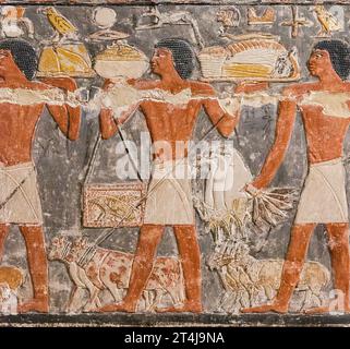 Ägypten, Sakkara, Grab von Mehu, Detail der Opferprozession: Igel in einem Käfig. Stockfoto