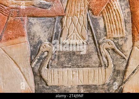 Ägypten, Sakkara, Grab von Mehu, Detail der Opferprozession: Vögel, in einer Tasche. Stockfoto