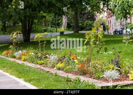 Mehrfarbiges Blumenbeet im Park im Departement Mulhouse Oberrhein-Elsass in Frankreich Stockfoto