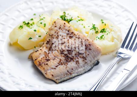 zander auf Kreuzkümmel mit gekochten Kartoffeln Stockfoto