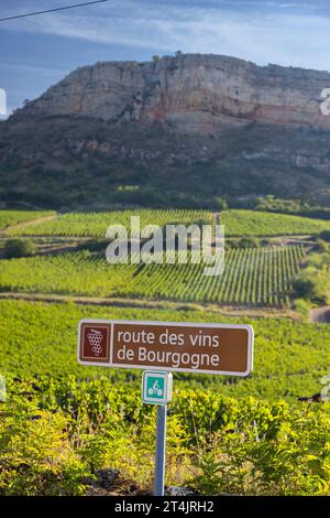 Weinstraße in der Nähe von Solutre, Burgund, Frankreich Stockfoto