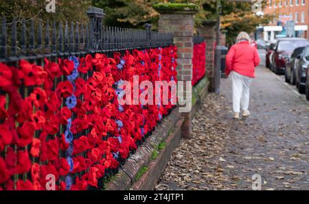 Marlow, Großbritannien. 31. Oktober 2023. Die Marlow Poppy Display Group der einheimischen Damen hat über 5.000 gestrickte und gehäkelte Mohnblumen hergestellt, die heute auf den Geländern der All Saints Church und Higginson Park am Causeway in Marlow, Buckinghamshire, ausgestellt werden. Fast 8000 Pfund wurden von der Gruppe seit 2020 für den Marlow British Legion Poppy Appeal aufgebracht. Quelle: Maureen McLean/Alamy Live News Stockfoto