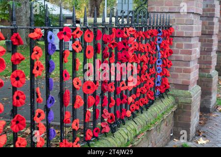 Marlow, Großbritannien. 31. Oktober 2023. Die Marlow Poppy Display Group der einheimischen Damen hat über 5.000 gestrickte und gehäkelte Mohnblumen hergestellt, die heute auf den Geländern der All Saints Church und Higginson Park am Causeway in Marlow, Buckinghamshire, ausgestellt werden. Fast 8000 Pfund wurden von der Gruppe seit 2020 für den Marlow British Legion Poppy Appeal aufgebracht. Quelle: Maureen McLean/Alamy Live News Stockfoto