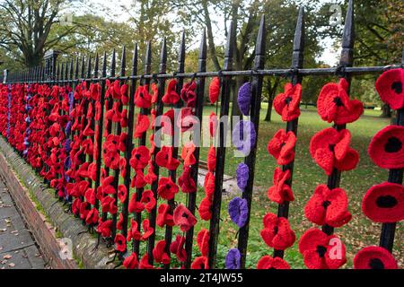 Marlow, Großbritannien. 31. Oktober 2023. Die Marlow Poppy Display Group der einheimischen Damen hat über 5.000 gestrickte und gehäkelte Mohnblumen hergestellt, die heute auf den Geländern der All Saints Church und Higginson Park am Causeway in Marlow, Buckinghamshire, ausgestellt werden. Fast 8000 Pfund wurden von der Gruppe seit 2020 für den Marlow British Legion Poppy Appeal aufgebracht. Quelle: Maureen McLean/Alamy Live News Stockfoto