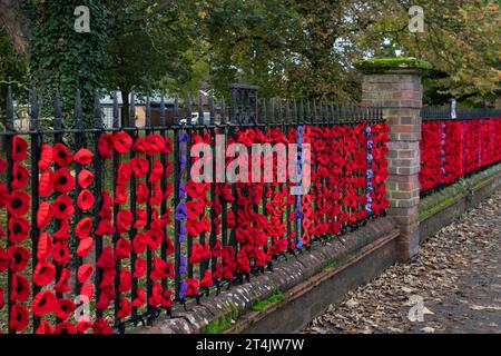 Marlow, Großbritannien. 31. Oktober 2023. Die Marlow Poppy Display Group der einheimischen Damen hat über 5.000 gestrickte und gehäkelte Mohnblumen hergestellt, die heute auf den Geländern der All Saints Church und Higginson Park am Causeway in Marlow, Buckinghamshire, ausgestellt werden. Fast 8000 Pfund wurden von der Gruppe seit 2020 für den Marlow British Legion Poppy Appeal aufgebracht. Quelle: Maureen McLean/Alamy Live News Stockfoto