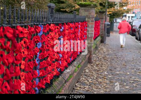 Marlow, Großbritannien. 31. Oktober 2023. Die Marlow Poppy Display Group der einheimischen Damen hat über 5.000 gestrickte und gehäkelte Mohnblumen hergestellt, die heute auf den Geländern der All Saints Church und Higginson Park am Causeway in Marlow, Buckinghamshire, ausgestellt werden. Fast 8000 Pfund wurden von der Gruppe seit 2020 für den Marlow British Legion Poppy Appeal aufgebracht. Quelle: Maureen McLean/Alamy Live News Stockfoto