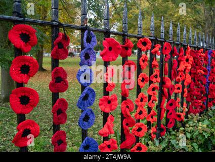 Marlow, Großbritannien. 31. Oktober 2023. Die Marlow Poppy Display Group der einheimischen Damen hat über 5.000 gestrickte und gehäkelte Mohnblumen hergestellt, die heute auf den Geländern der All Saints Church und Higginson Park am Causeway in Marlow, Buckinghamshire, ausgestellt werden. Fast 8000 Pfund wurden von der Gruppe seit 2020 für den Marlow British Legion Poppy Appeal aufgebracht. Quelle: Maureen McLean/Alamy Live News Stockfoto