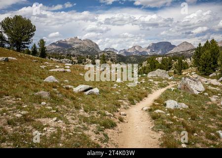 WY05512-00...WYOMING - Shadow Lake Trail in der Bridger Wilderness Area der Wind River Range. Stockfoto