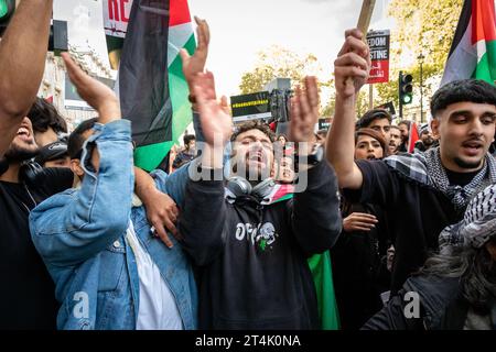 Demonstranten vor der Downing Street protestieren in Solidarität mit Palästinensern. Stockfoto