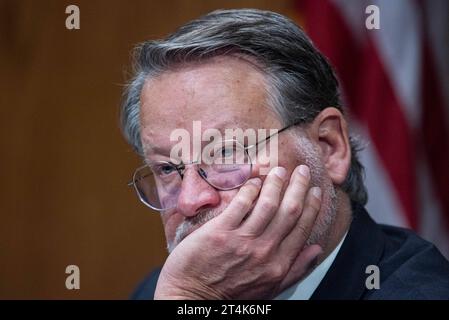 US-Senator Gary Peters Democrat of Michigan, Vorsitzender des US-Senatsausschusses für Heimatsicherheit und Regierungsangelegenheiten bei einer Anhörung des Senats für Homeland Security and Government Affairs, um Bedrohungen für das Heimatland im Dirksen Senate Office Building in Washington, DC am Dienstag, den 31. Oktober 2023 zu untersuchen. Vor kurzem wird ein Mann in Las Vegas angeklagt, nachdem er gedroht hat, Rosen, die jüdisch ist, in einer Reihe von Nachrichten an ihr Büro zu töten. Copyright: XAnnabellexGordonx/xCNPx/MediaPunchx Credit: Imago/Alamy Live News Stockfoto