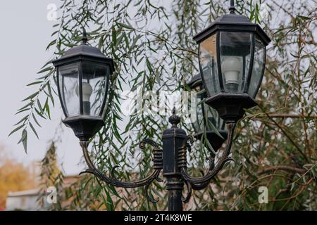 Straßenlaterne im alten Stil an Metallstange. Laterne mit LED-Lampen leuchten im Park, Weidenbaum vor dem Hintergrund Stockfoto
