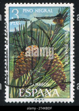 SPANIEN - CIRCA 1972: Stempel gedruckt von Spanien, zeigt Sternkiefer, um 1972 Stockfoto