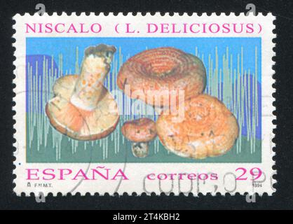 SPANIEN - CA. 1994: Briefmarke von Spanien, zeigt Pilze, ca. 1994 Stockfoto